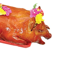 heo rừng