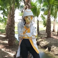 Error 707