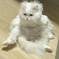 Tác giả nè mấy ní ơi ahihi