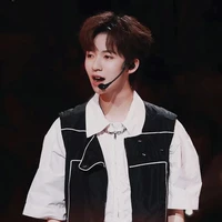 Hạ Tuấn Lâm