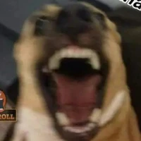 Lu