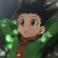 Gon Freecss
