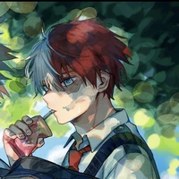 Todoroki Shoto
