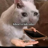 tác giả cute