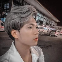 mr vịt