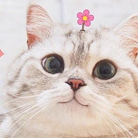 T.Giả?,▪○♡♤