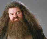 Rubeus Hagrid
