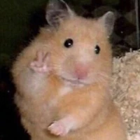 hali (hệ thống hamster)