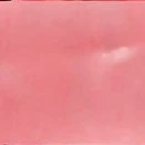 All-trừ ai tự bt