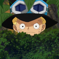 Sabo