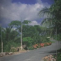 Tg cuti s1 nè troiii