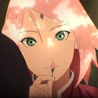Haruno Sakura