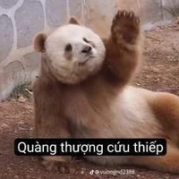 bếu cute