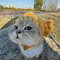 tg