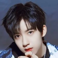 Hạ Tuấn Lâm ( Gã )