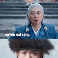 triệu du