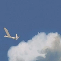 Đại thần hoa nhĩ tư