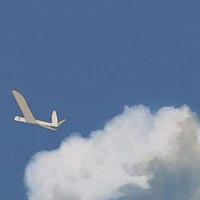 Đại thần hoa nhĩ tư