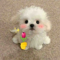 Hội người có vấn đề tâm lý (trừ những n)