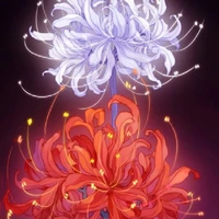 Red spider lily