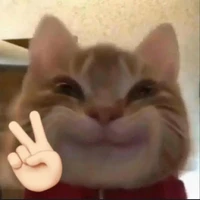 đũy tg:Đ