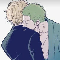 zoro + sanji