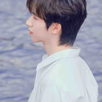 Hạ Tuấn Lâm