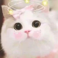 Tác giả cute