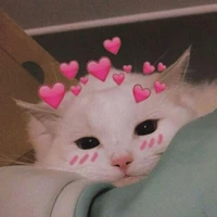 -Haru_pé đẹp