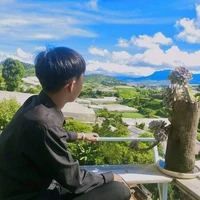 Phạm Đình Hòa
