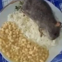 tao hận xử [ dt ]