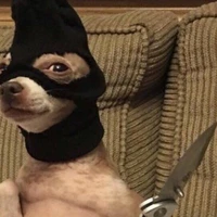 đứng cửa thả chó [ cg ]