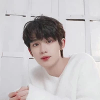 Đinh Trình Hâm ( Em )