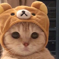 Kon tác giả đêyy