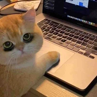 Con tác giả:>