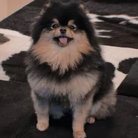 Ye Tăng(YeonTan)