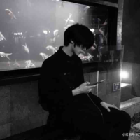 Zhang Gemini_27 years