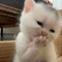 Tác Giả