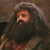 Rubeus Hagrid