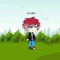 kaito