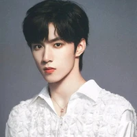 Lưu Diệu Văn(anh)