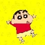 shin
