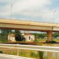 bảo báo