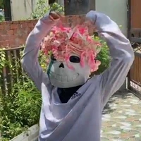 Alpha