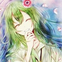 T/G Lily