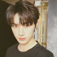 Đinh Trình Hâm