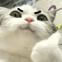 ?  ?  ?