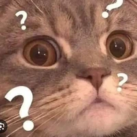 ?người lạ?