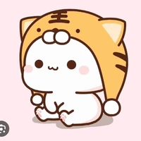 Hệ thống