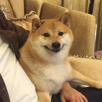 tác giả